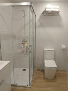 a bathroom with a toilet and a glass shower at Apartamento Isabel in Ardales