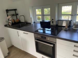 een keuken met een wastafel en een fornuis top oven bij Haus am Teich in Worpswede
