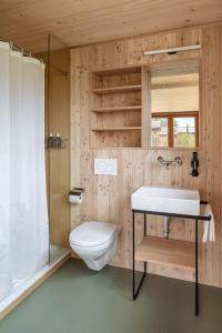 a bathroom with a toilet and a sink and a shower at Berglodge Goms (Hotel) in Münster
