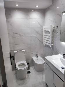 ein weißes Bad mit einem WC und einem Waschbecken in der Unterkunft Vista Panorâmica RC Amadora in Amadora