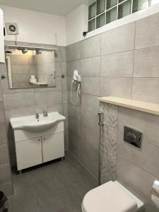 ein Badezimmer mit einem Waschbecken, einem WC und einem Spiegel in der Unterkunft Una La Unica in Bihać