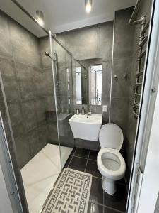 W łazience znajduje się prysznic, toaleta i umywalka. w obiekcie Apartament w mieście Străşeni