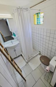 a bathroom with a toilet and a sink at appartement T2 avec jacuzzi in Baie-Mahault