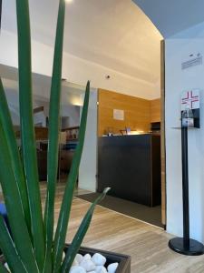 eine Topfpflanze in einem Zimmer mit Küche in der Unterkunft Hotel Sachsenklemme in Franzensfeste