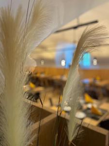 a close up of a bunch of tall grass at Hotel Sachsenklemme in Fortezza