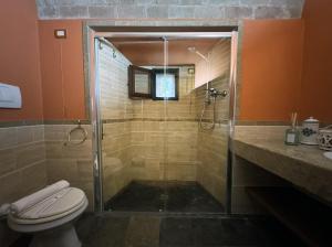 a bathroom with a shower and a toilet at Suite Gabri, Stiozzi Ridolfi in Certaldo +35 photos