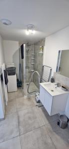 a bathroom with a sink and a shower at Studio plein Sud au calme in Montauban