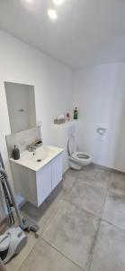 a bathroom with a sink and a toilet at Studio plein Sud au calme in Montauban