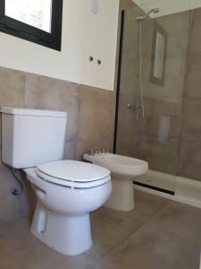 a bathroom with a toilet and a shower and a sink at Atila de montaña in San Martín de los Andes