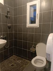 un baño con inodoro y lavabo en Tiny house - Gare Paris Aeroport, en Drancy