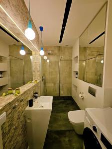 Un baño con lavabo, inodoro y ducha. en Apartamenty Point of View, en Bydgoszcz 41 fotos más