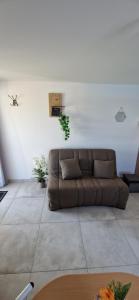 a living room with a brown couch in a room at Studio plein Sud au calme in Montauban