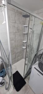 a shower with a glass door with a black rug at Studio plein Sud au calme in Montauban