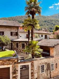 een villa met een palmboom en een huis bij Rustico Nicand in Cannobio