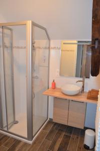 een badkamer met een douche en een wastafel bij Chambre Pantagruel Le dolmen in Thizay