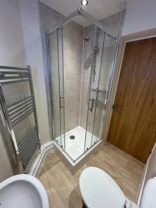 a bathroom with a shower and a toilet at Apartment 381 in Jesmond