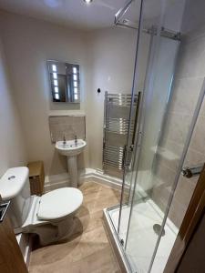 a bathroom with a shower and a toilet and a sink at Apartment 381 in Jesmond