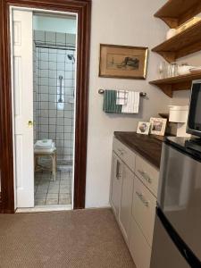 a kitchen with a sink and a bathroom with a shower at Spacious Suite Wkitchenette in Ligonier