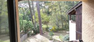 a window with a view of a yard with trees at Petit Appartement dans les Arbres in Carcans +5 photos