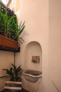 una ciotola di pietra sul lato di un muro con piante di Maison Barchetta in Via Giulia - Piazza Navona a Roma