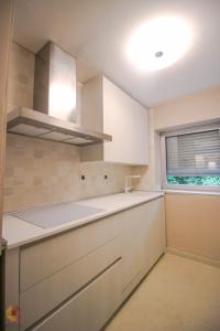 Η κουζίνα ή μικρή κουζίνα στο Villa Terra Rossa Borik