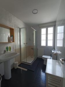 W łazience znajduje się prysznic, umywalka i toaleta. w obiekcie Zubia Urban Rooms w mieście Bilbao