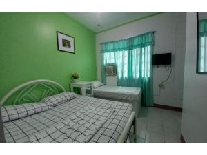 a bedroom with two beds and a green wall at OYO 1048 Jomckayl Apartelle in Naga