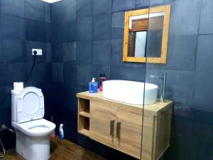 a bathroom with a sink and a toilet at Calodyne residence in Grande Gaube
