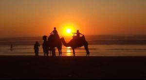 a group of people riding horses on the beach at sunset at Mehdia beach one in Kenitra