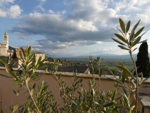 een uitzicht vanaf het dak van een gebouw met bomen bij Scappo in Umbria, La casa di Eude in Assisi