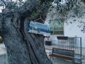 Un árbol con una señal que dice bienvenida en él en Casa vacanze l'Ulivo, en Rocca San Giovanni