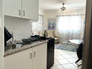 Een keuken of kitchenette bij Panthera Cottage Milnerton