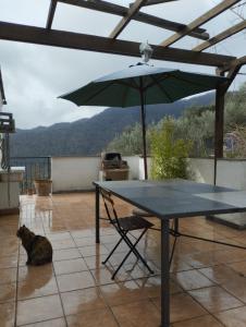 un chat assis à côté d'une table avec un parapluie dans l'établissement Casa Tulipiè, nel verde e a pochi minuti dal mare, à Uscio