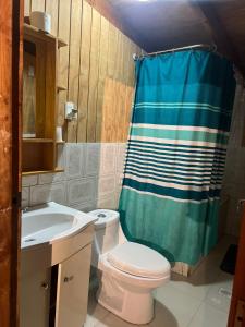 a bathroom with a toilet and a shower curtain at Ruta 7 Coffee & Lodging in Villa Maniguales