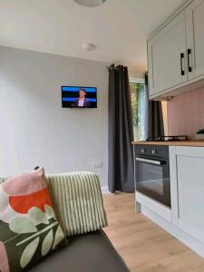 亞芬河畔史特拉福的住宿－The Annex, Stratford Upon-Avon，客厅配有沙发和墙上的电视