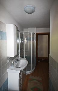 La salle de bains est pourvue d'un lavabo et d'une douche. dans l'établissement Bait Solif, à Valdidentro