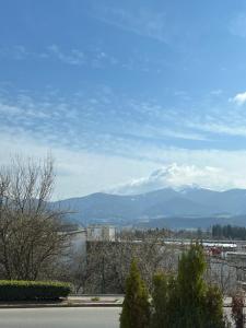 a view of a city with mountains in the background at Murtal Appartement Größingblick Top 2 in Zeltweg