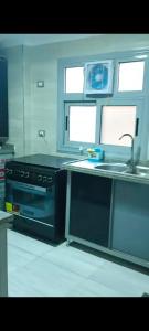 Il comprend une cuisine équipée d'une cuisinière et d'un évier. dans l'établissement المهندسين, au Caire