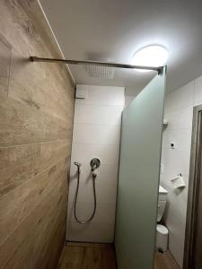a bathroom with a shower stall and a toilet at Familienwohnung nähe Europapark, Messe, Gifiz See in Offenburg