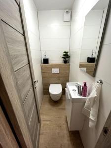Phòng tắm tại Familienwohnung nähe Europapark, Messe, Gifiz See +12 ảnh