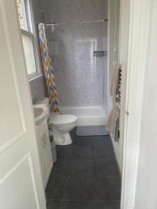 a small bathroom with a toilet and a shower at Lovely Getaway Apartment in Wisbech in Wisbech