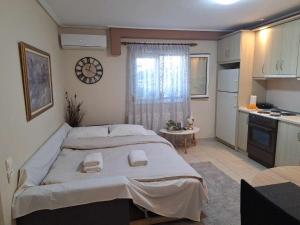 1 dormitorio con 1 cama grande y cocina en Apartment near the sea, Volos, en Volos