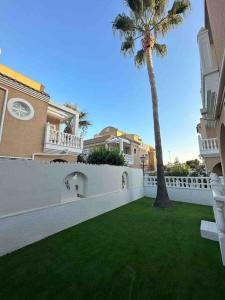 a palm tree in the yard of a house at Sol Beach, Cabo Roig in Orihuela Costa