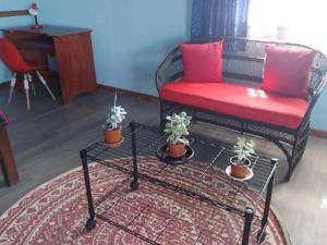 una sala de estar con una silla y una mesa con plantas en Butterfly Dance studio apartment, San Ramon, en Santiago