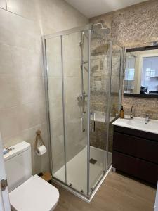 a bathroom with a shower and a toilet and a sink at Apartamentos SARABIA DARRIBA in Ourense +23 photos