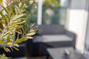 a potted plant with a bench in the background at Chambre d'Amis - Chambres d'Hôtes-B&B-Guest House in Paris