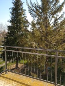une clôture métallique avec des arbres en arrière-plan dans l'établissement Kuća za odmor Matić, à Kragujevac