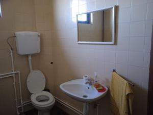 La salle de bains est pourvue de toilettes, d'un lavabo et d'un miroir. dans l'établissement Kuća za odmor Matić, à Kragujevac