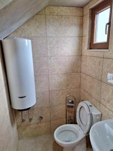 uma casa de banho com um WC e um lavatório em Zenith Campsite Apartments em Nikšić