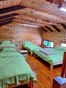 um quarto com quatro camas verdes numa parede de tijolos em Zenith Campsite Apartments em Nikšić